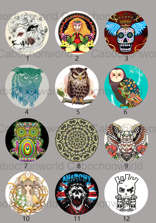 Various Owl Cabochon Collection CW0626