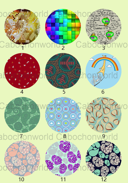 Various Flower Cabochon Collection CW0642