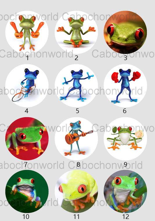 Tree Frog Cabochon Collection CW0650