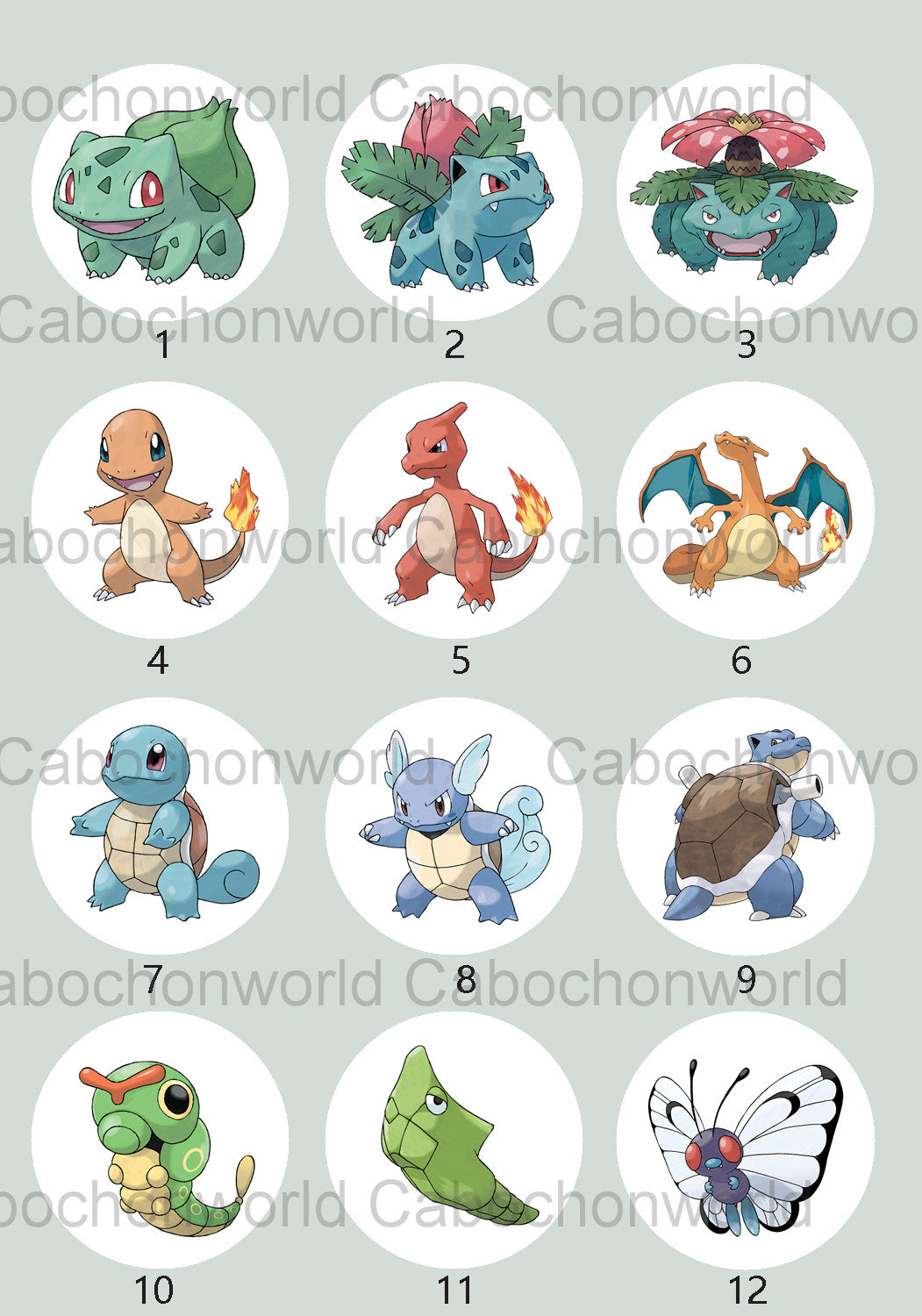 Pokemon Cabochon Collection CW0695