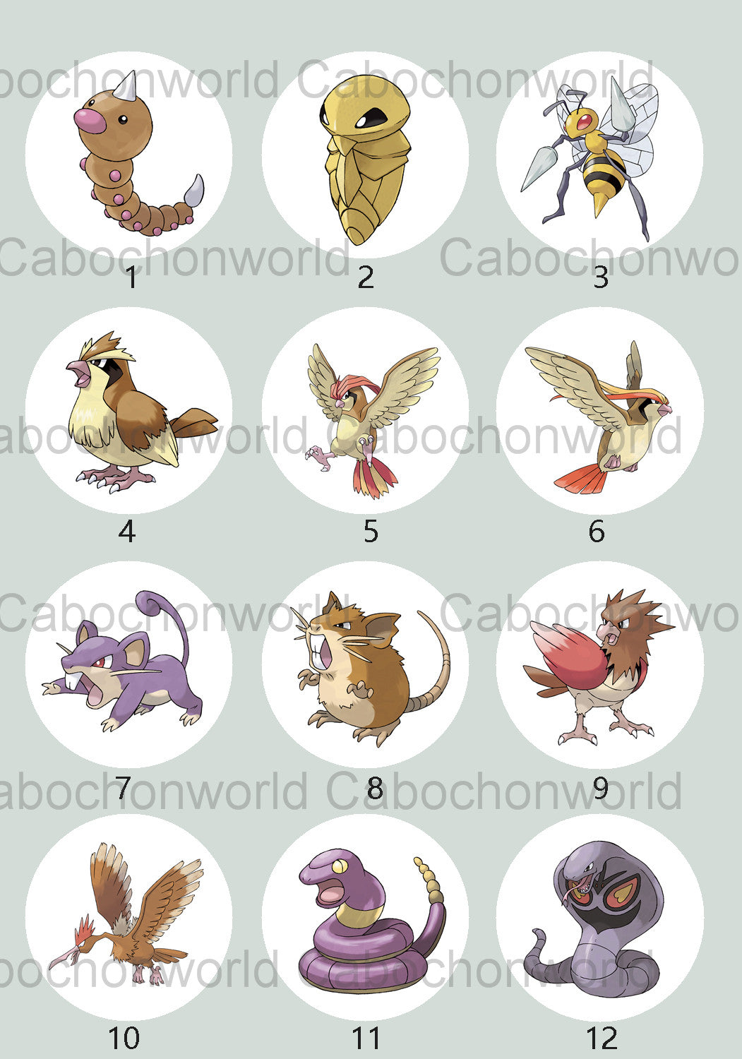 Pokemon Cabochon Collection CW0696