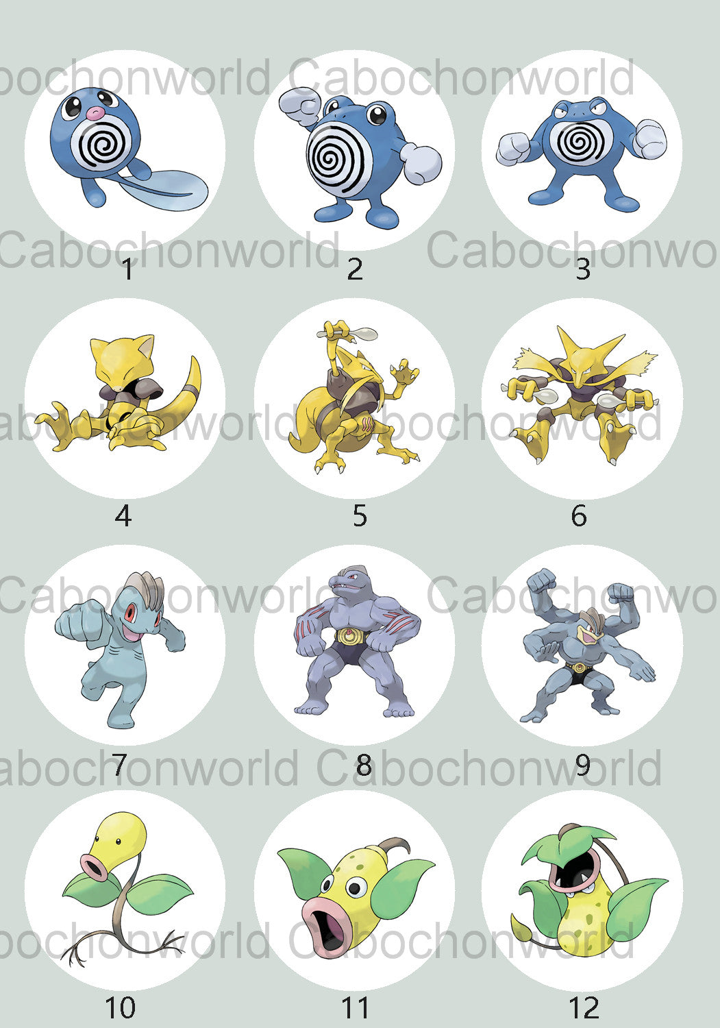 Pokemon Cabochon Collection CW0700