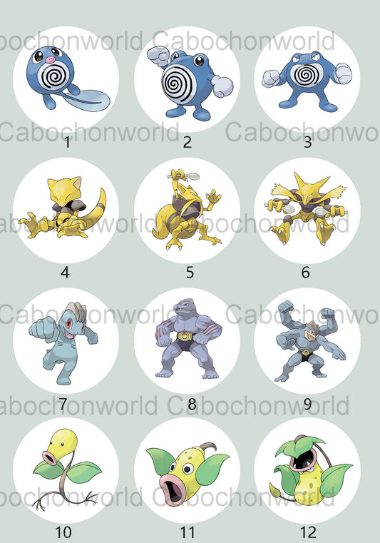 Pokemon Cabochon Collection CW0700