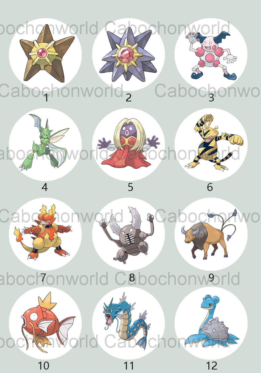 Pokemon Cabochon Collection CW0705