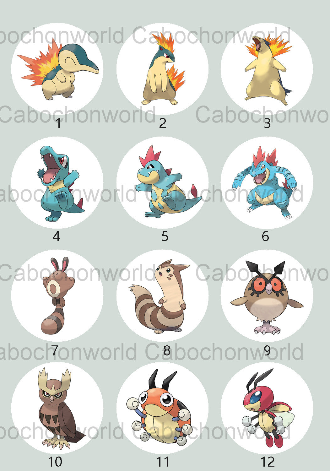 Pokemon Cabochon Collection CW0708