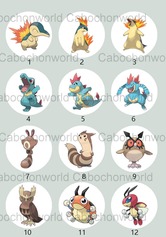 Pokemon-Cabochon-Kollektion CW0708