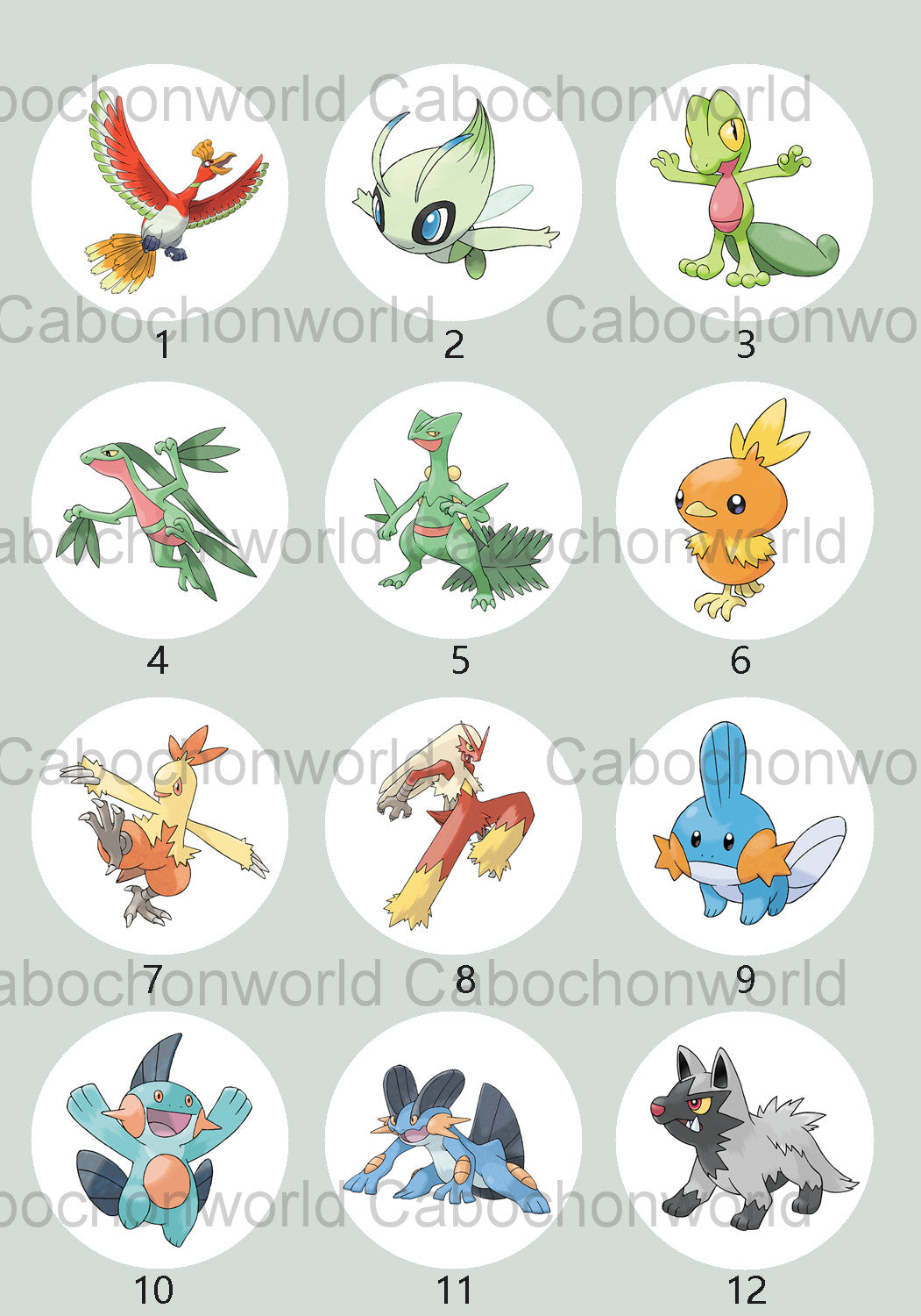 Pokemon Cabochon Collection CW0716