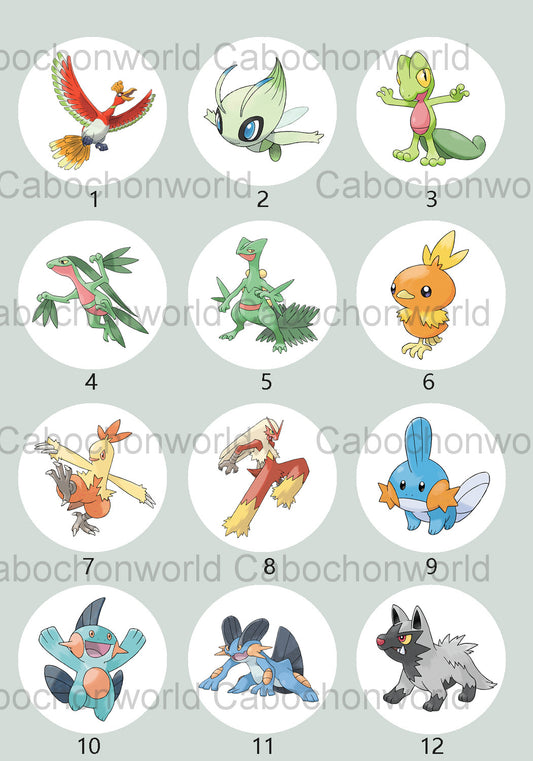 Pokemon-Cabochon-Kollektion CW0716