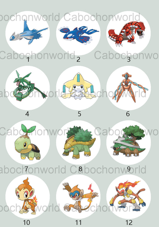 Pokemon-Cabochon-Kollektion CW0727